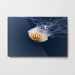 Jellyfish in the aquarium Metal Print