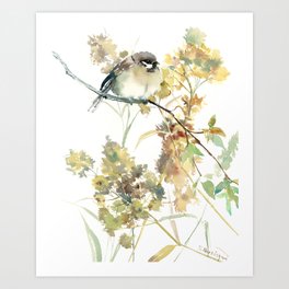 Sparrow bird original watercolor painting small bird wall art birds lover gift