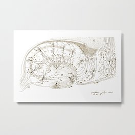 Pyramidal Neurons in the Hippocampus – Santiago Ramon y Cajal Art Print Metal Print | Santiagocajal, Neuron, Drawing, Digital, Ink Pen, Neuronartprint, Neurology, Scienceart 