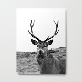 Stag Metal Print | Highlands, Highlanddeer, Photo, Black And White, Hunt, Scotland, Roedeer, Deerhunter, Deerstalker, Europeandeer 