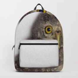 new born baby owl  Backpack