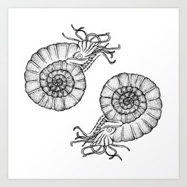 Ammonites Art Print