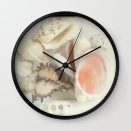 Shell collection Wall Clock