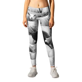 Different is 'Okay' Black Sheep of the Family black and white photograph Leggings | Animal, Lolfunny, Oddball, Blackandwhite, Photograph, Differentisokay, Beingdifferent, Photo, Sheep, Strange 