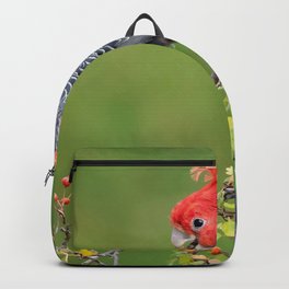 Pretty Red Head Exotic Parrot Close Up Ultra HD Backpack