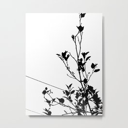 Botanical Contrast Metal Print | Moderninterior, Botanicalprint, Plants, Landscapeart, Botanical, Nature, Outdoor, Botanicalwallart, Artforwalls, Botanicalart 