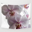White orchids Wandbehang