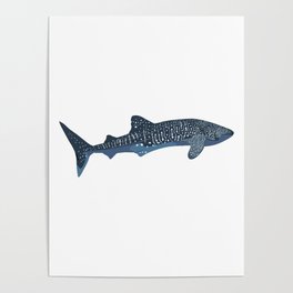 Whale Shark Posters to Match Any Room's Decor | Society6