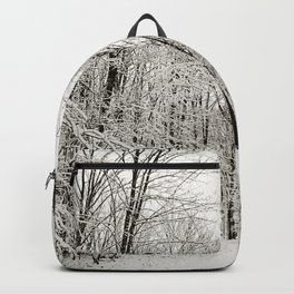 Snow Trail Backpack