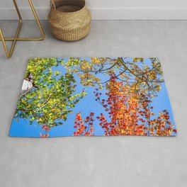 Aspen Color Candy // Green Yellow Red and Orange Fall Leaf Colors Rug