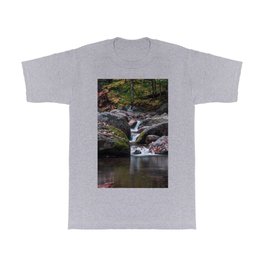 Sabbaday Brook T Shirt