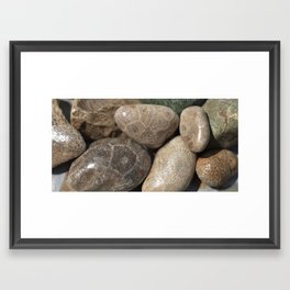 Petoskey Stones Framed Art Print