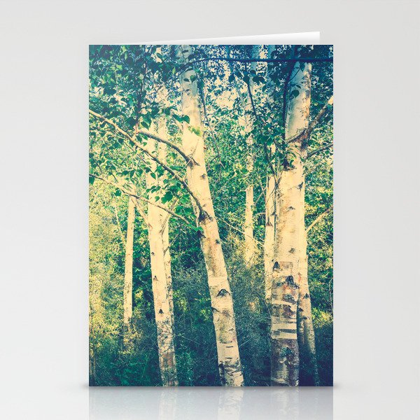 Stand of birch trees with small pathway lined in grasses running through it Stationery Cards