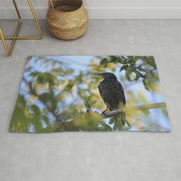 Common Starling Rug