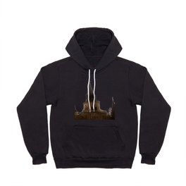 Saint Louis Cathedral Hoody