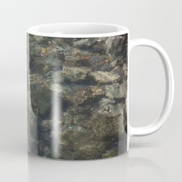 Fish in a Clear Stream Coffee Mug