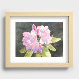 Pink Rhododendron Recessed Framed Print