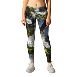 While fruiting pear tree blossoms Leggings