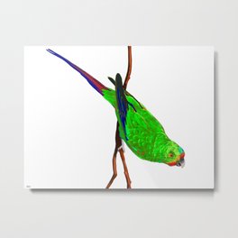 Swift Green Parrot Metal Print
