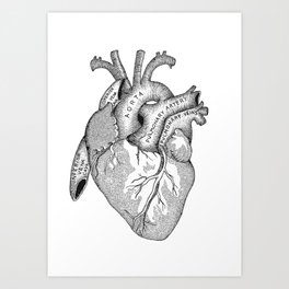Study of the Heart Art Print