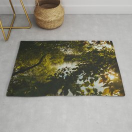 Over the River & Through the Trees Rug