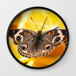 Common Buckeye Junonia Coenia Wall Clock