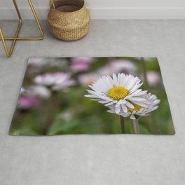 Colourful daisy field close up Rug