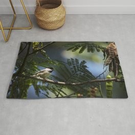 Roosting Black Capped Chickadee Rug