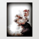 Portrait of a Yorkie | Dogs  Leinwanddruck