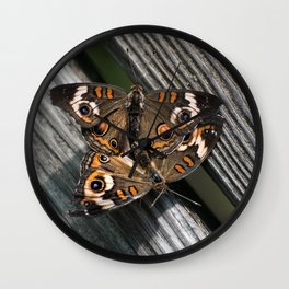 in love ... Buckeye Butterfly (Junonia coenia) Wall Clock