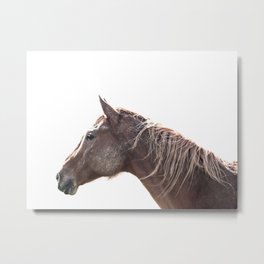 Muddy Horse Metal Print