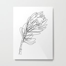 Abstract Protea Flower Continuous Line Drawing Metal Print