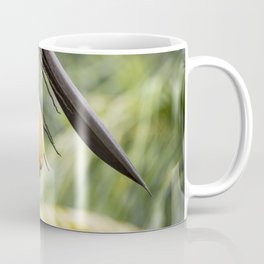 paradise beach mellons Coffee Mug