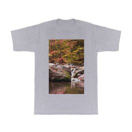 Autumn Brook T Shirt