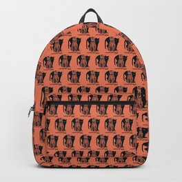 Retro vintage Munich Zoo big cats Backpack