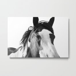 Paint Horse | Modern Horse Art Metal Print
