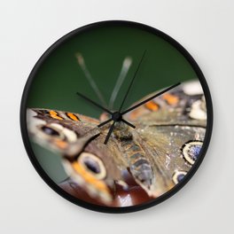 Common Buckeye Junonia Coenia Wall Clock