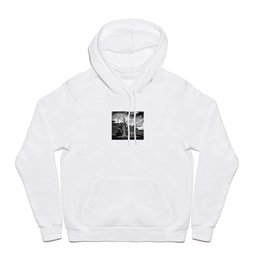 Brining Color to the Colorless World Hoody