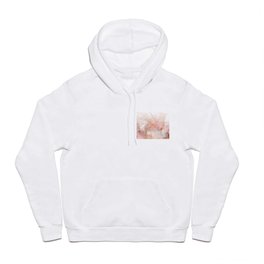 Beautiful Pink and Gold Ombre marble under snow Hoody
