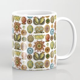 Ernst Haeckel Ascidiae Sea Squirts White Background Coffee Mug