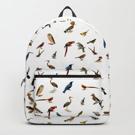 Birds Vintage Background Backpack
