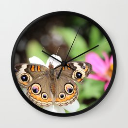 Beautiful Buckeye Butterfly Wall Clock