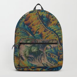 Colorful carpet Backpack
