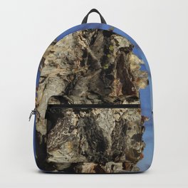 River Birch Bark up against the blues Backpack