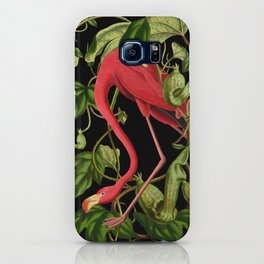 Flamingo Black iPhone Case
