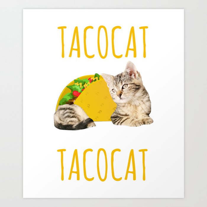 Taco Cat  Gift Foodie  Kitty Cat  Funny Mexican Food Present 