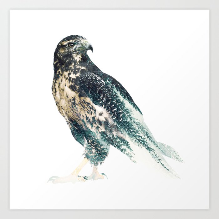 falcon-fb9-prints.jpg