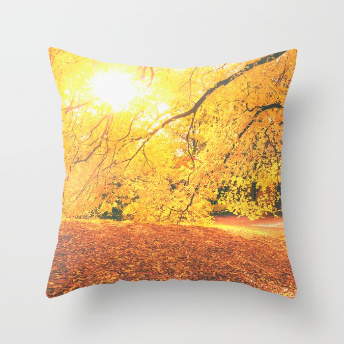 New York City Autumn Sun Throw Pillow