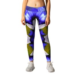 The Daisey Experiment in Abstract Leggings