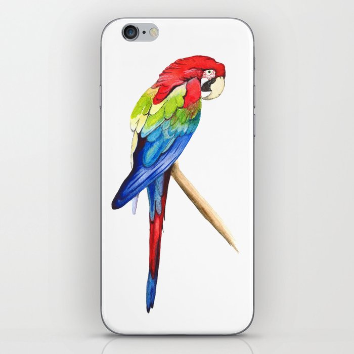 Parrot iPhone Skin by bridgetdavidson | Society6